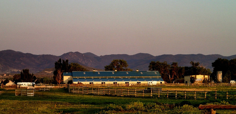 Horses and riders at Paradise Found Farm in Fort Collins, Colorado