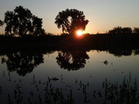 Sunset over the pond at the farm