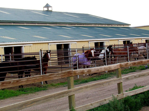 Horses in their paddocks beside the barn