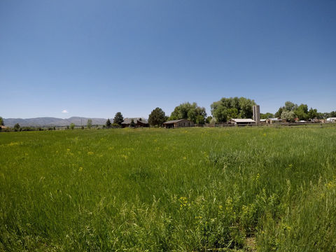 Open pasture and turnout with the foothills beyond