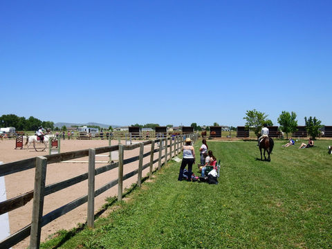 A horse and rider over fences